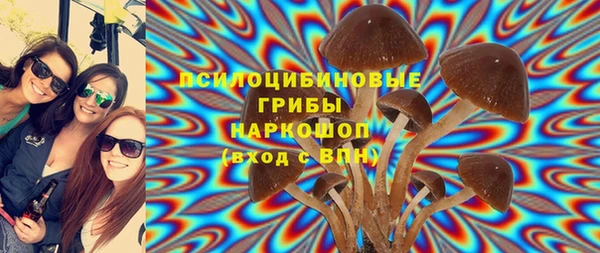гашик Баксан
