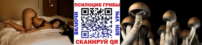 Псилоцибиновые грибы прущие грибы  Шенкурск 