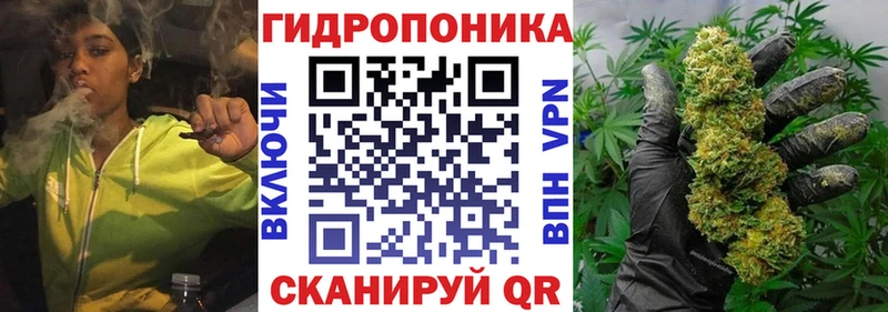 купить закладку  Шенкурск  Конопля ГИДРОПОН 